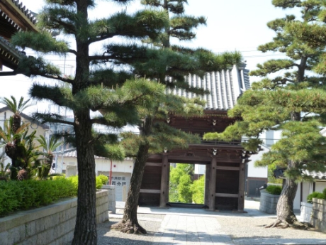 画像6